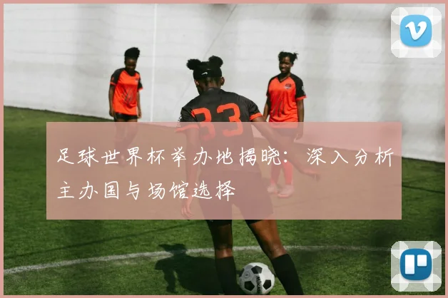 足球世界杯举办地揭晓：深入分析主办国与场馆选择