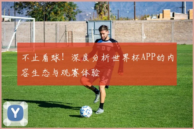 不止看球！深度分析世界杯APP的内容生态与观赛体验