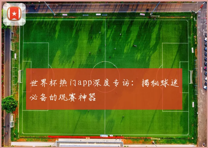 世界杯热门app深度专访:揭秘球迷必备的观赛神器