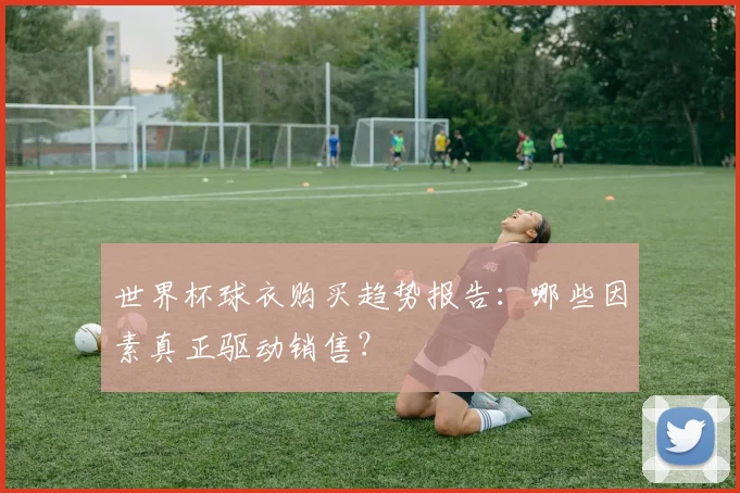 世界杯球衣购买趋势报告：哪些因素真正驱动销售？