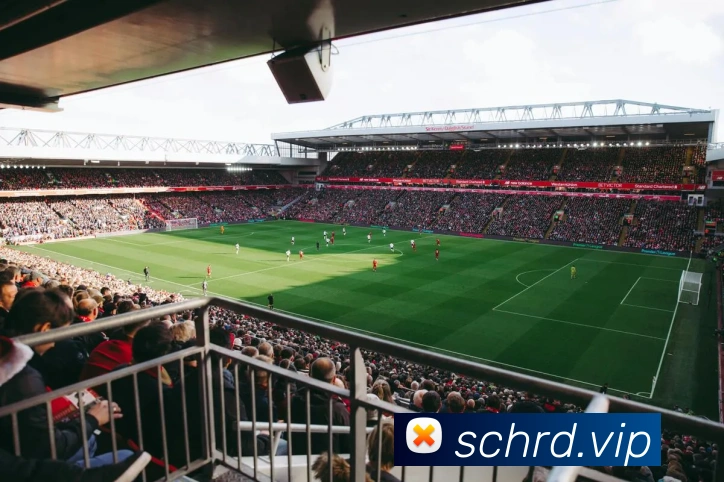 beat365唯一官网平台生态图