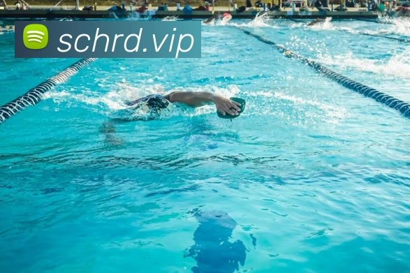 beat365唯一官网APP 封面图